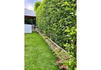 Casas, Venta, Jamundí - $1.040.000.000
