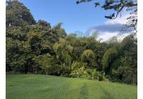Fincas y Casas Campestres, Venta, Montenegro - $1.950.000.000