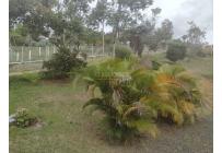 Fincas y Casas Campestres, Venta, Dagua - $530.000.000