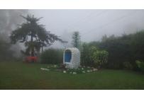 Fincas y Casas Campestres, Venta, Dagua - $460.000.000